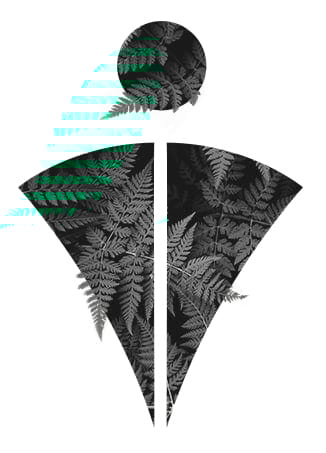 AccarisGreen